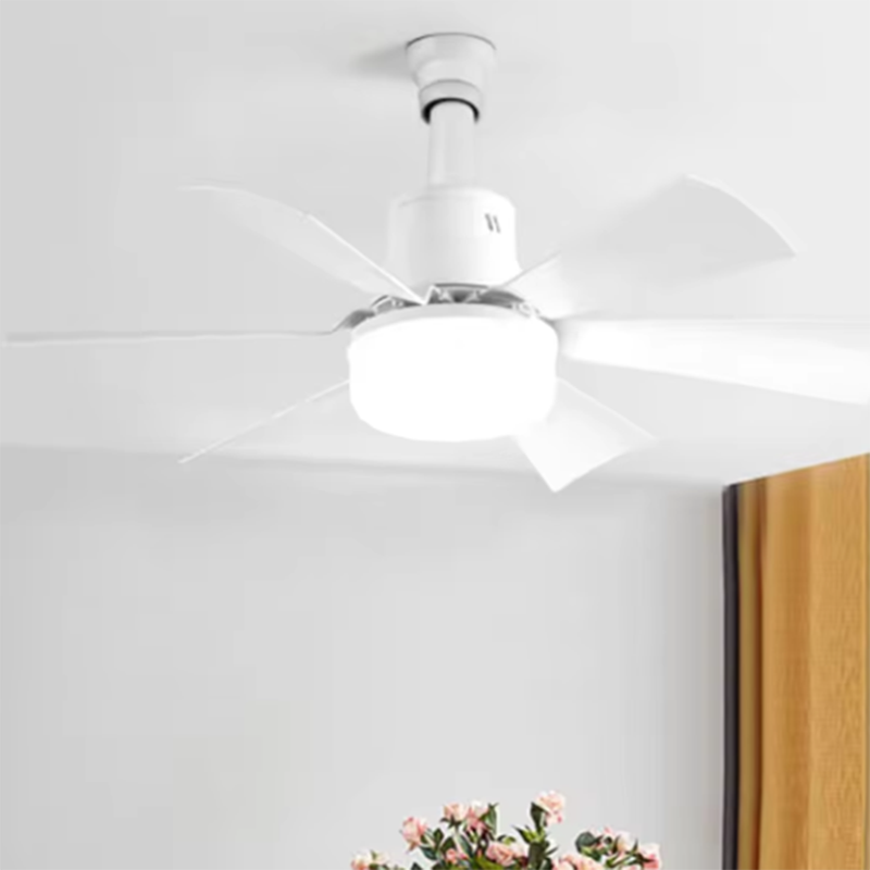 2026 New E26/E27 Screw Mount F - Ceiling Fan Mount recension och pris